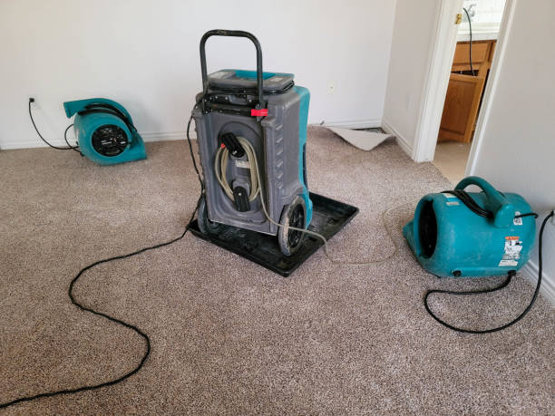 Best 24-hour water damage restoration  in Tuntutuli, AK