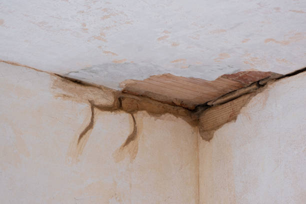 Best Ceiling water damage repair  in Tuntutuli, AK