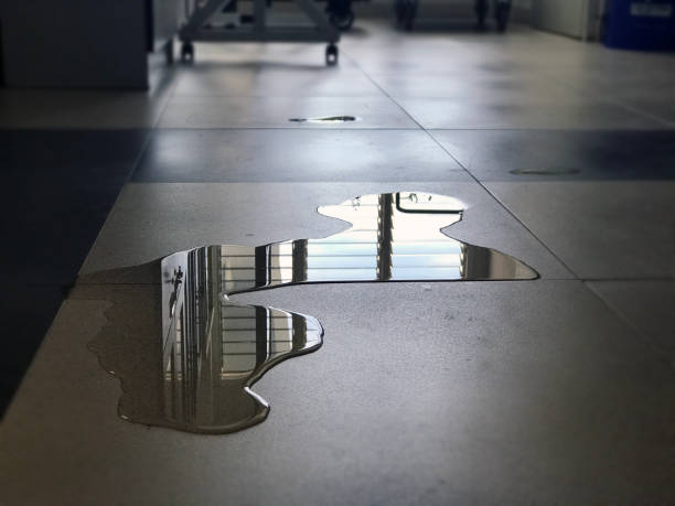 Best Water damage restoration near me  in Tuntutuli, AK
