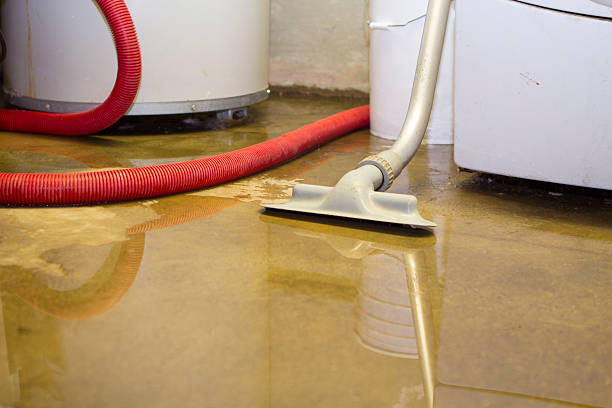 Water damage restoration insurance claims in Tuntutuliak, AK